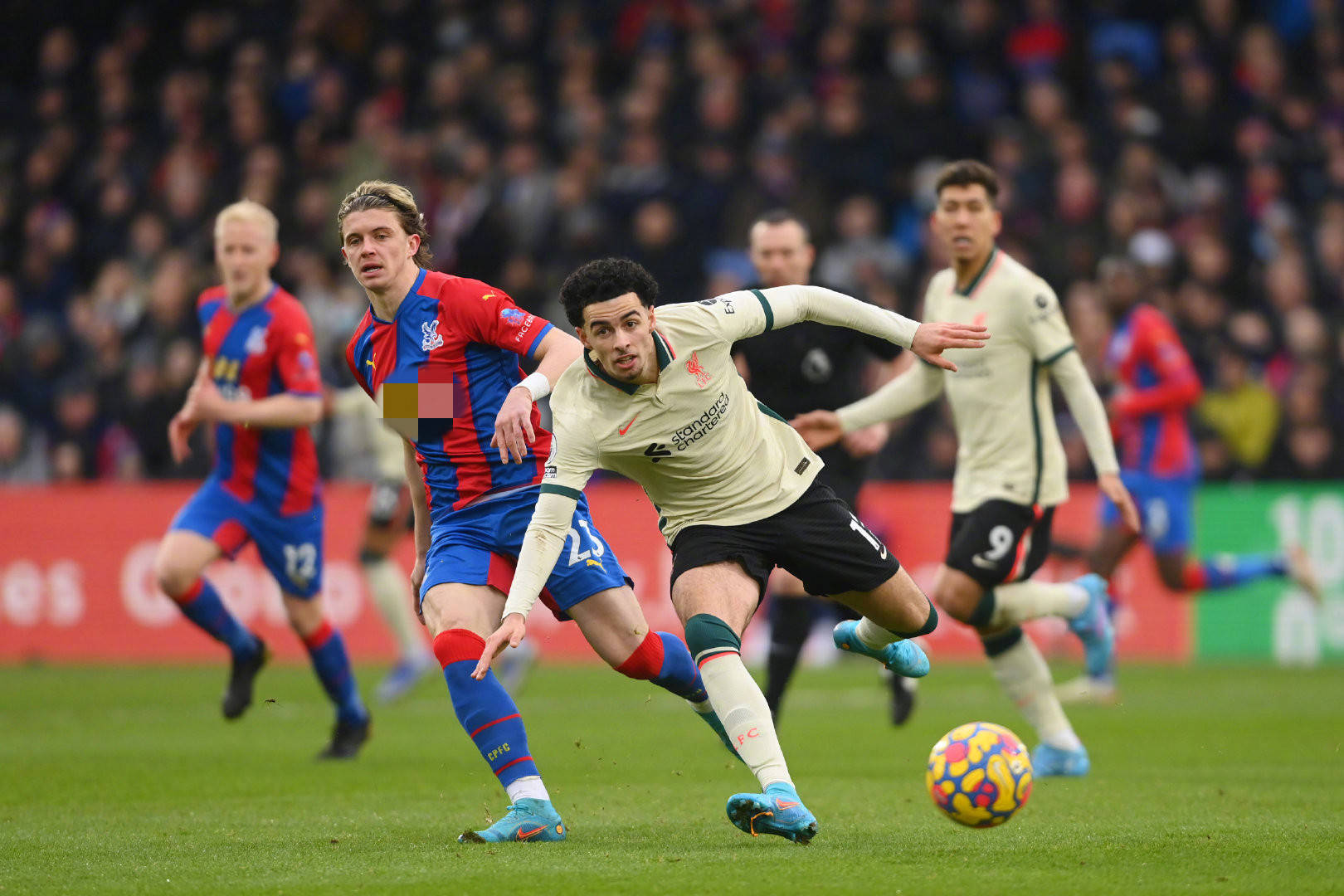 他的加入無 他的加入無